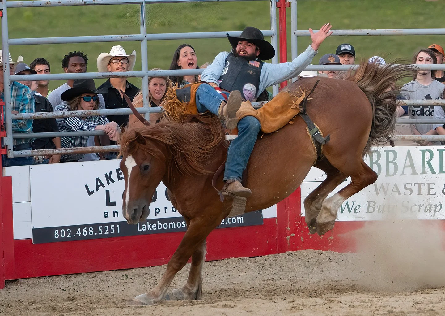 A rider hangs onto a bucking bronco at a rodeo in Vermont. Photo by Josh Trudell