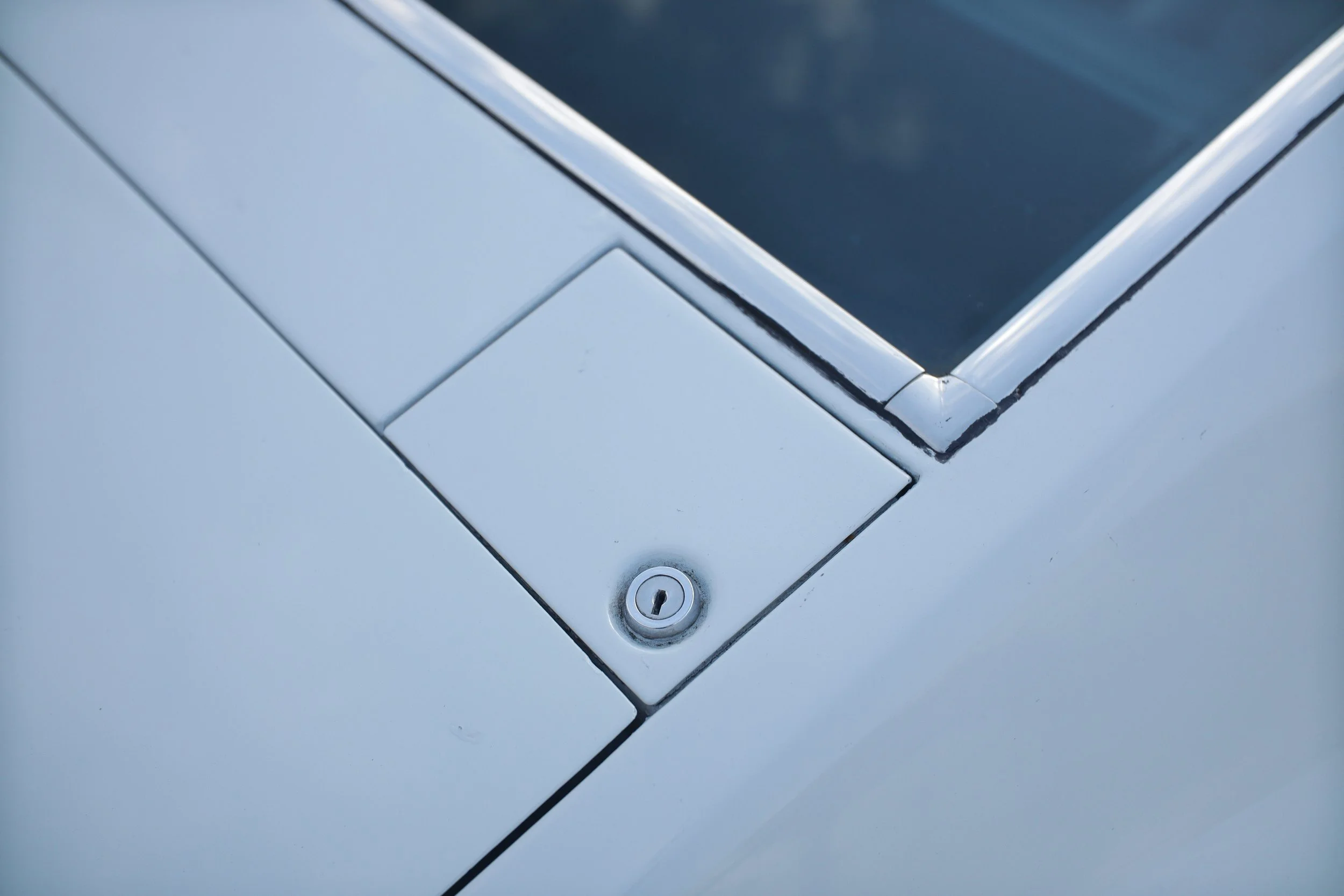 IMG_7988.jpeg