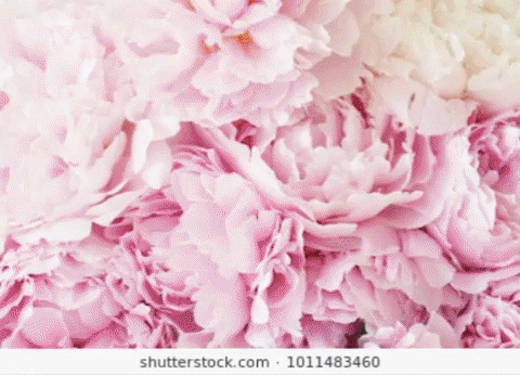 This is a montage of an image search for “tender” on Shutterstock made with Python. The word “tender” can refer to so many different things; chicken tenders, bartenders, legal tender, or tenderness. Investigating the many different graphic flavors of “tender” can help us to understand the depth, breadth, and associations of tenderness .