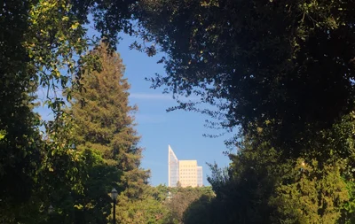 I took this photo on my walk through a park in Sacramento during the conference. It brought to mind the sense of seeing the new through the natural, like seeing the next version of me, through the current one.