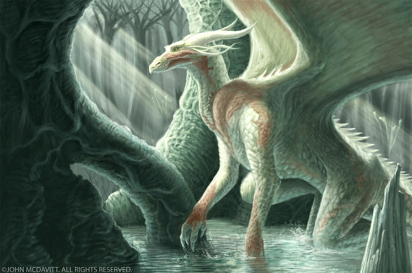 Dragon - McDavitt.jpg