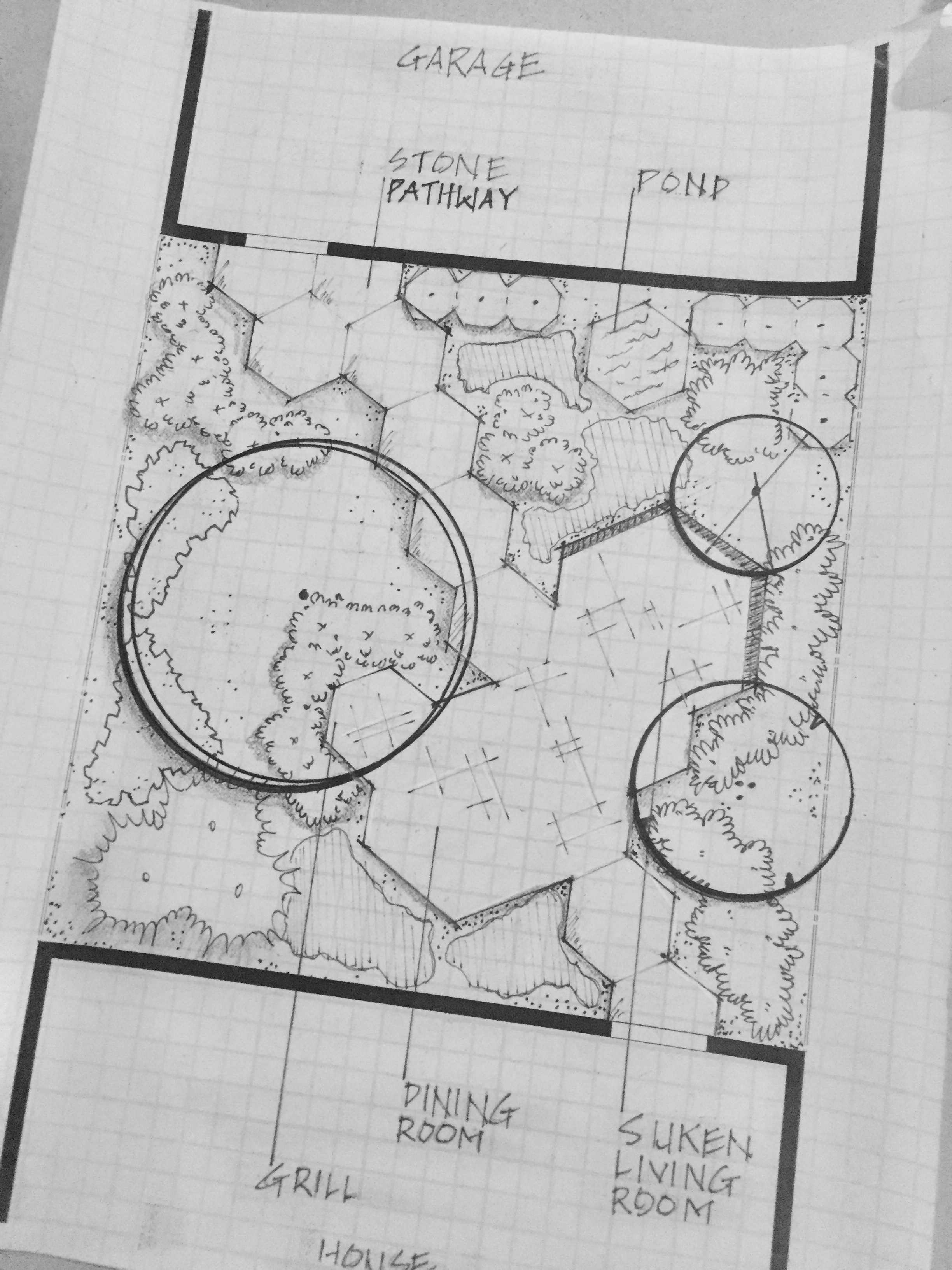 Garden Sketch