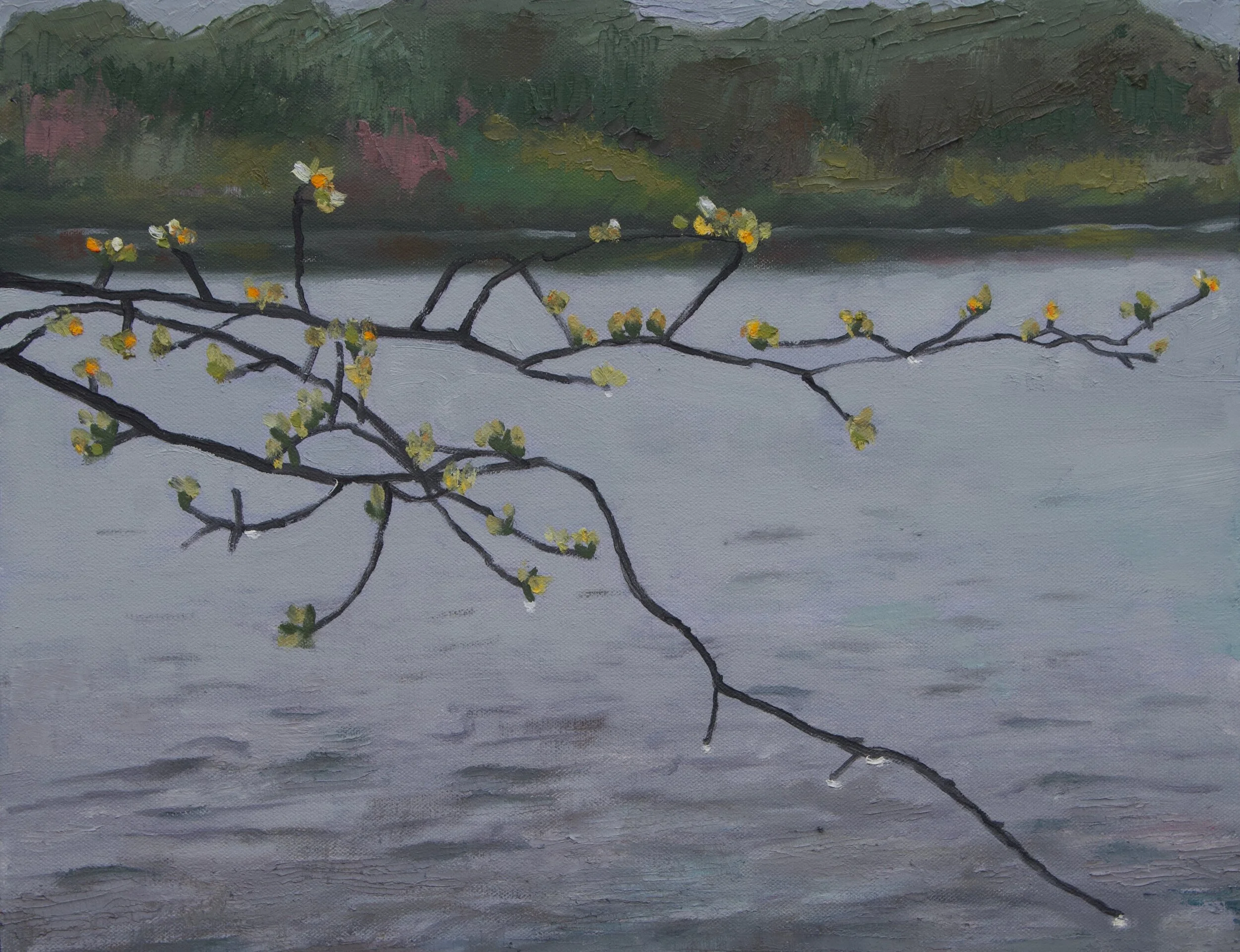 Spring Pond