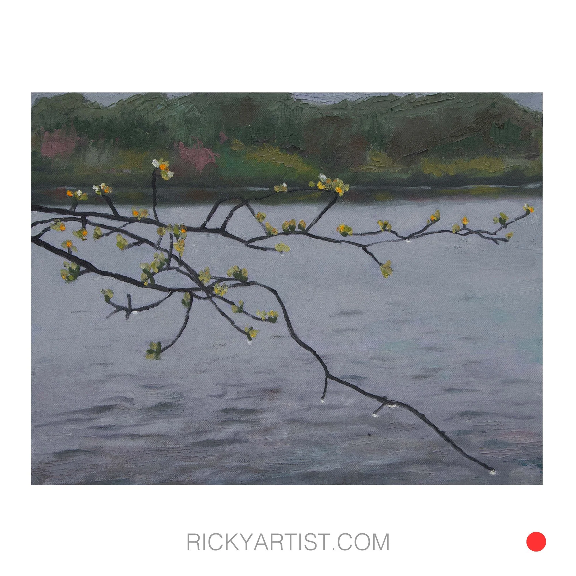 spring-pond-ig-white.jpg