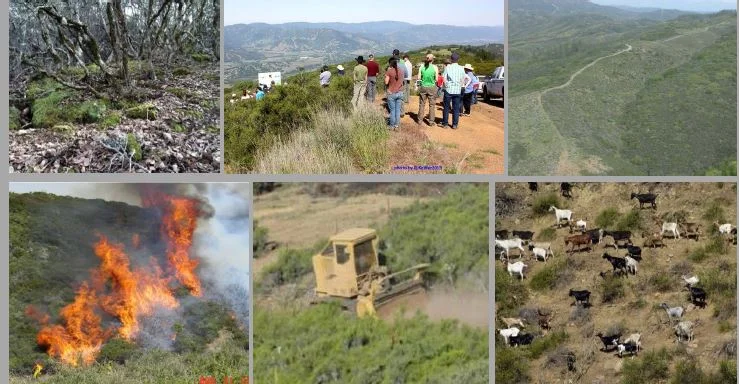 Northern California Chaparral Fire Hazard Summit