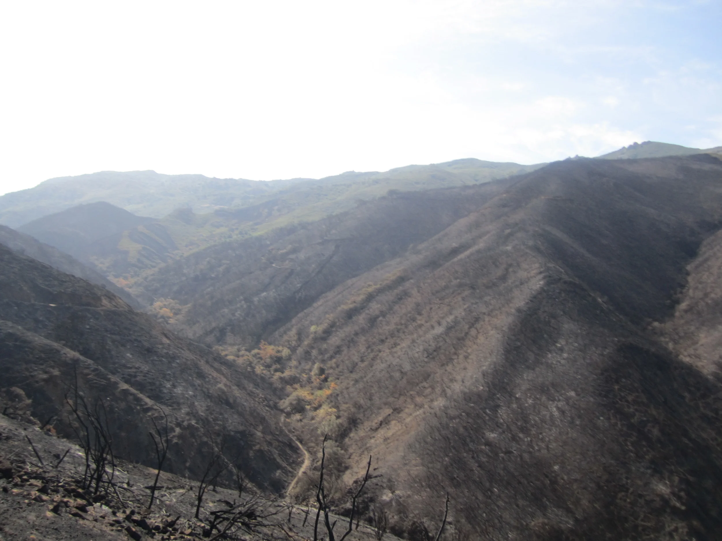 The 2nd Southern California Chaparral Symposium - June 8-10, 2015,