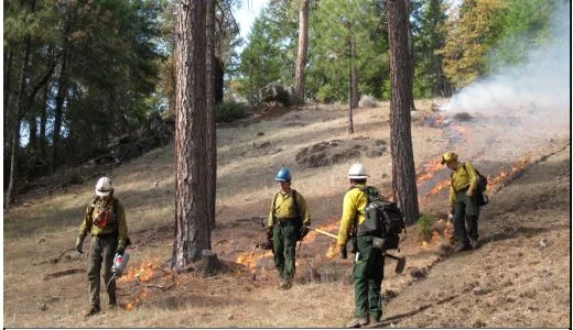 Fall 2015 Nor Cal TREX (Training Exchange)