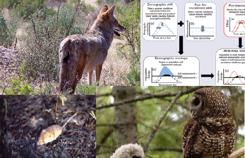 Four new research briefs from Central & Southern California