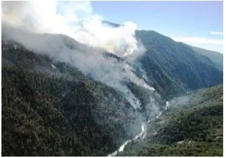 New Research Brief: Principles of Effective Federal Fire Management Plans