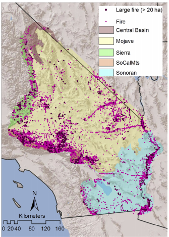 Increasing Fire Activity for Arid California: Different Fire Trends from Different Fire Drivers: Research Brief