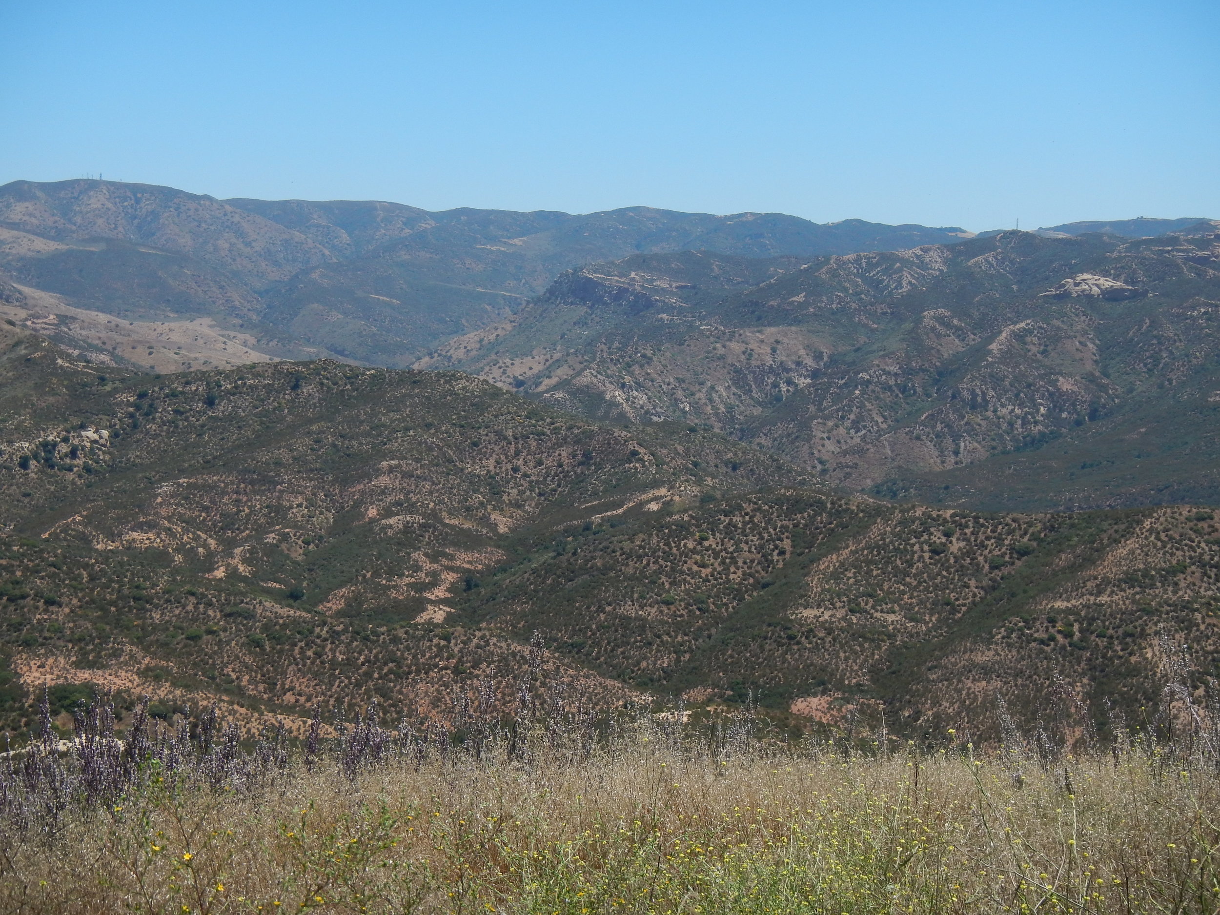Overlooking Fremont and Black Star canyons (foothills of Santa Ana Mountains)​