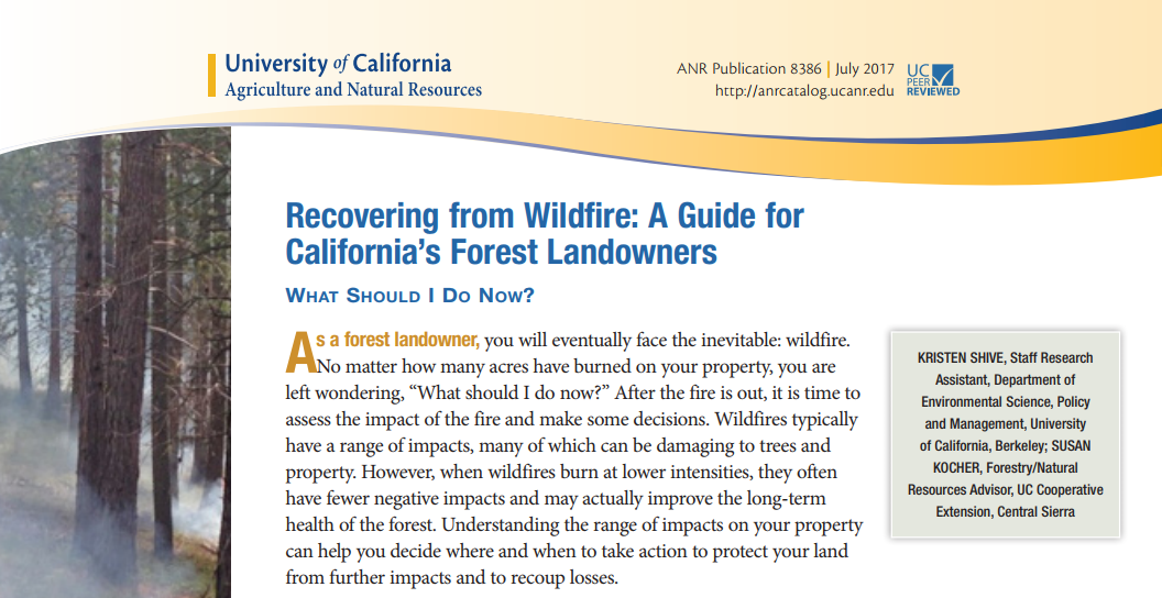 New Resource from UCANR: Recovering from Wildfire: A Guide for California's Forest Landowners