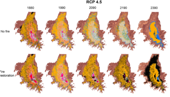 Are historical fire regimes compatible with future climate? Implications for forest restoration: Research Brief