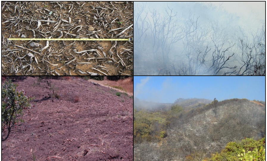 Effects of Two Kinds of Fuel Treatments and Their Season after Ten Years in Northern CA Chaparral:Research Brief