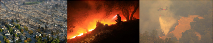 LIVING WITH FIRE IN CALIFORNIA’S COAST RANGES: Promoting Fire-Resilient Communities and Landscapes in an Era of Global Change