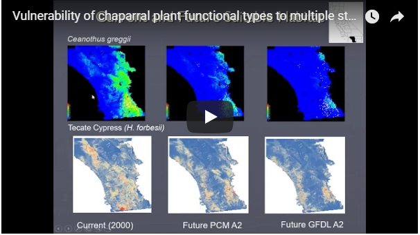 Vulnerability of chaparral plant functional types to multiple stressors: climate, fire and land use:  Recorded Presentation