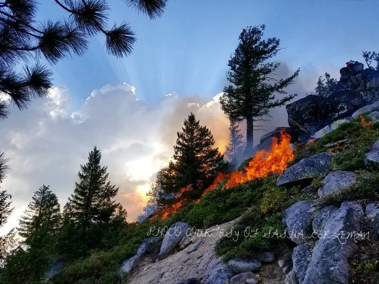 Here's our newest briefs from the CFSC