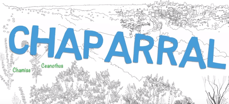 Valuing Chaparral: Video