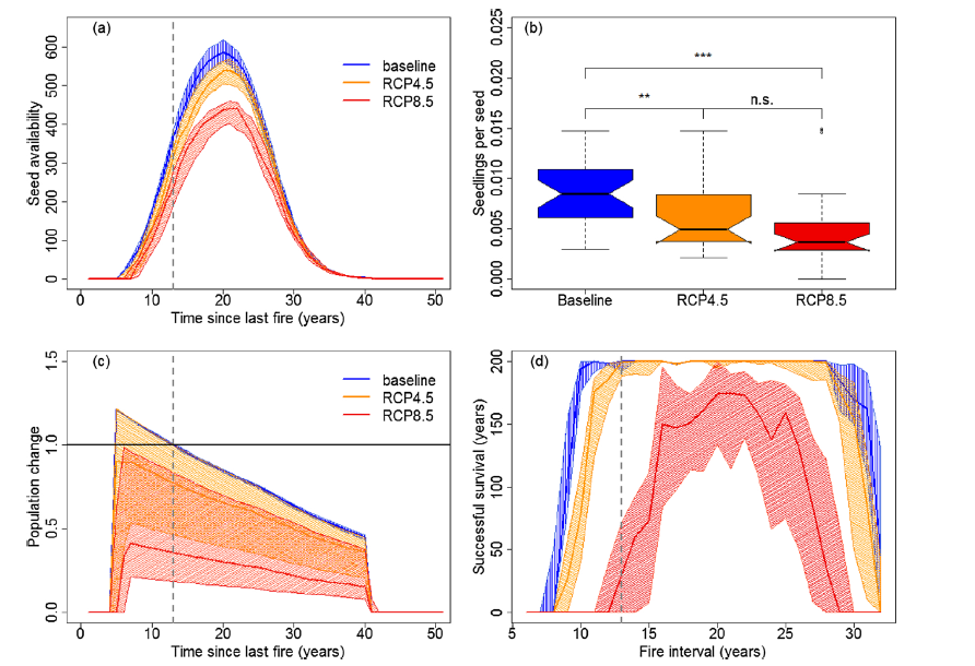 Interval Squeeze In Action: Modeling Woody Plant Species Survival Under Three Climate Scenarios: Research Brief