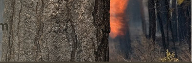 Hollister Prescribed Fire on Private Lands Workshop