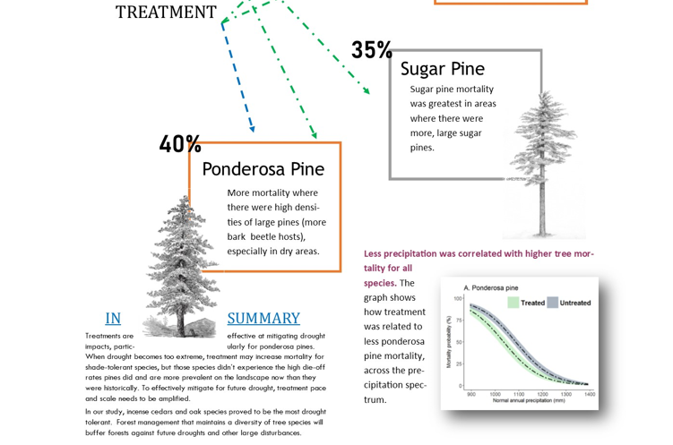 How Sierra Nevada Tree Mortality changed with Management, Precipitation and Forest Density: Research Brief