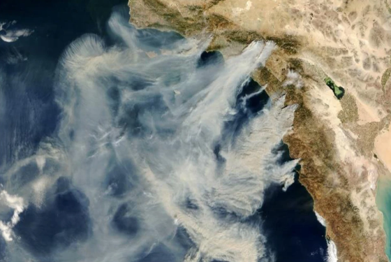 Two Big Fire-drivers (Fuel vs. Wind) Mean Different Management Strategies Across California: Research Brief