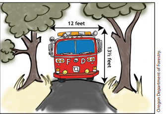 Reducing Fire Risk on Your Forest Property: Chapter 5 Roads &amp; Access