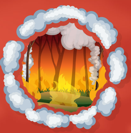 A Guide to Staying Safe During Wildfires