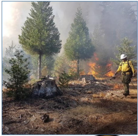 Southern Sierra Prescribed Fire Council: 2020 Annual Meeting and Outreach Event