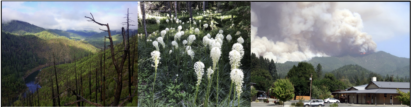 Collaborative Fire Planning for the North Coast: Webinar Mini-Series