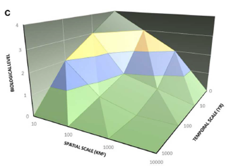 Use Cross-scale Metrics to Help Manage for Resilience: Research Brief