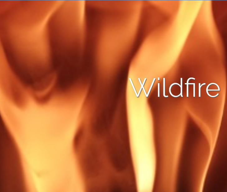 Wildfire and the Biosphere initiative 