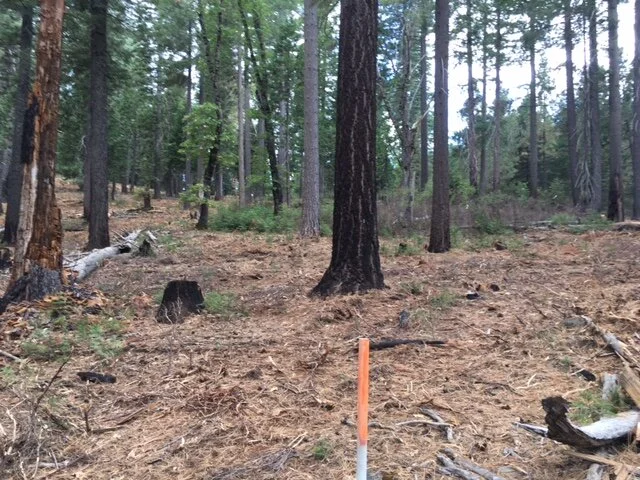 Costs of alternative fuel reduction treatments: Research Brief