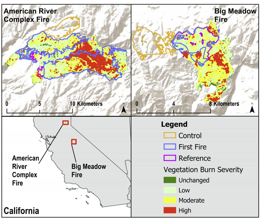 First-entry fires create forest structures resilient to wildfire: Research Brief 