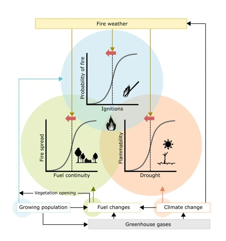 Weather Impacts on Fire Thresholds: A Recipe for Big Fire: Research Brief  
