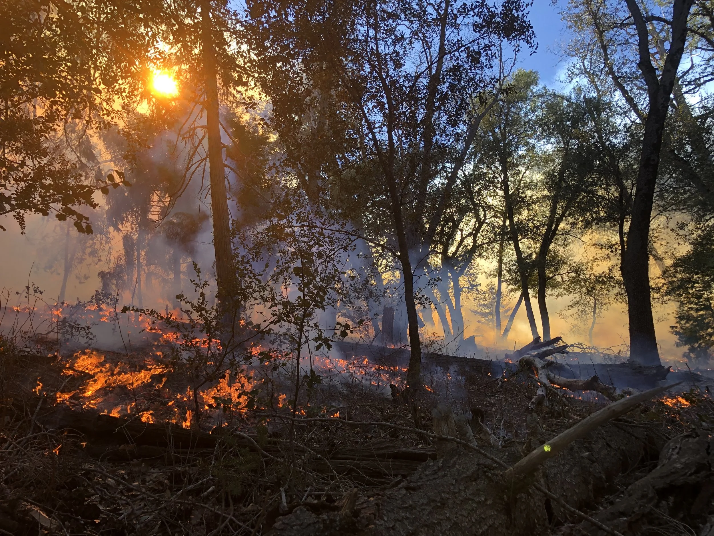 Historical Review and Framework for Managed Fire Decision Making: Research Brief