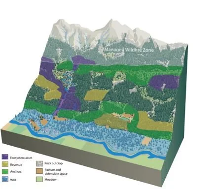 Using pyrosilviculture to make forests inclusive of fire at larger scales: Research Brief  