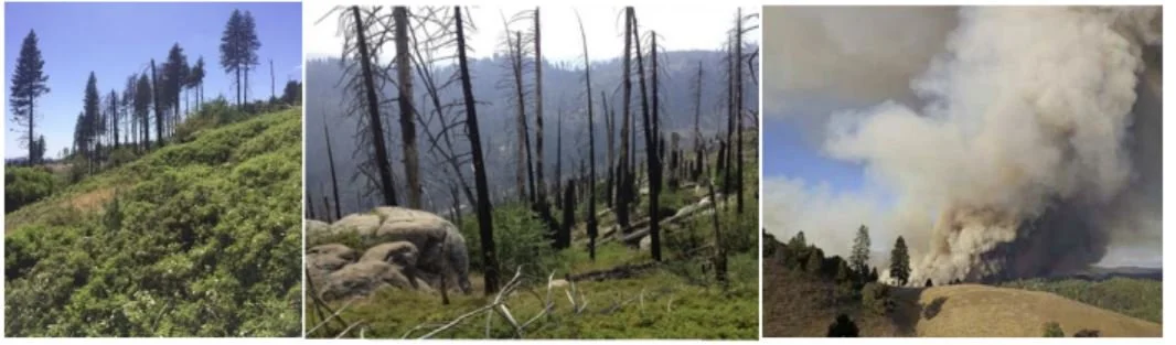  Post Fire Restoration Symposium