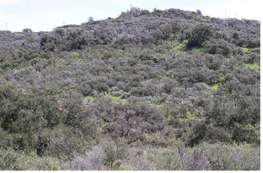 The effects of prolonged drought on vegetation dieback and megafires in southern California chaparral: Research Brief 