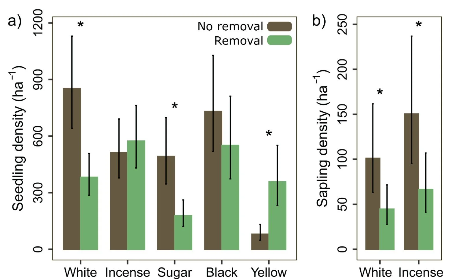 Dead tree removal after mass mortality: Effects on regeneration, fire severity, and carbon stocks