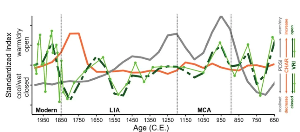 Human impacts on fire history and forest structure over 1300 years in the Sierra Nevada