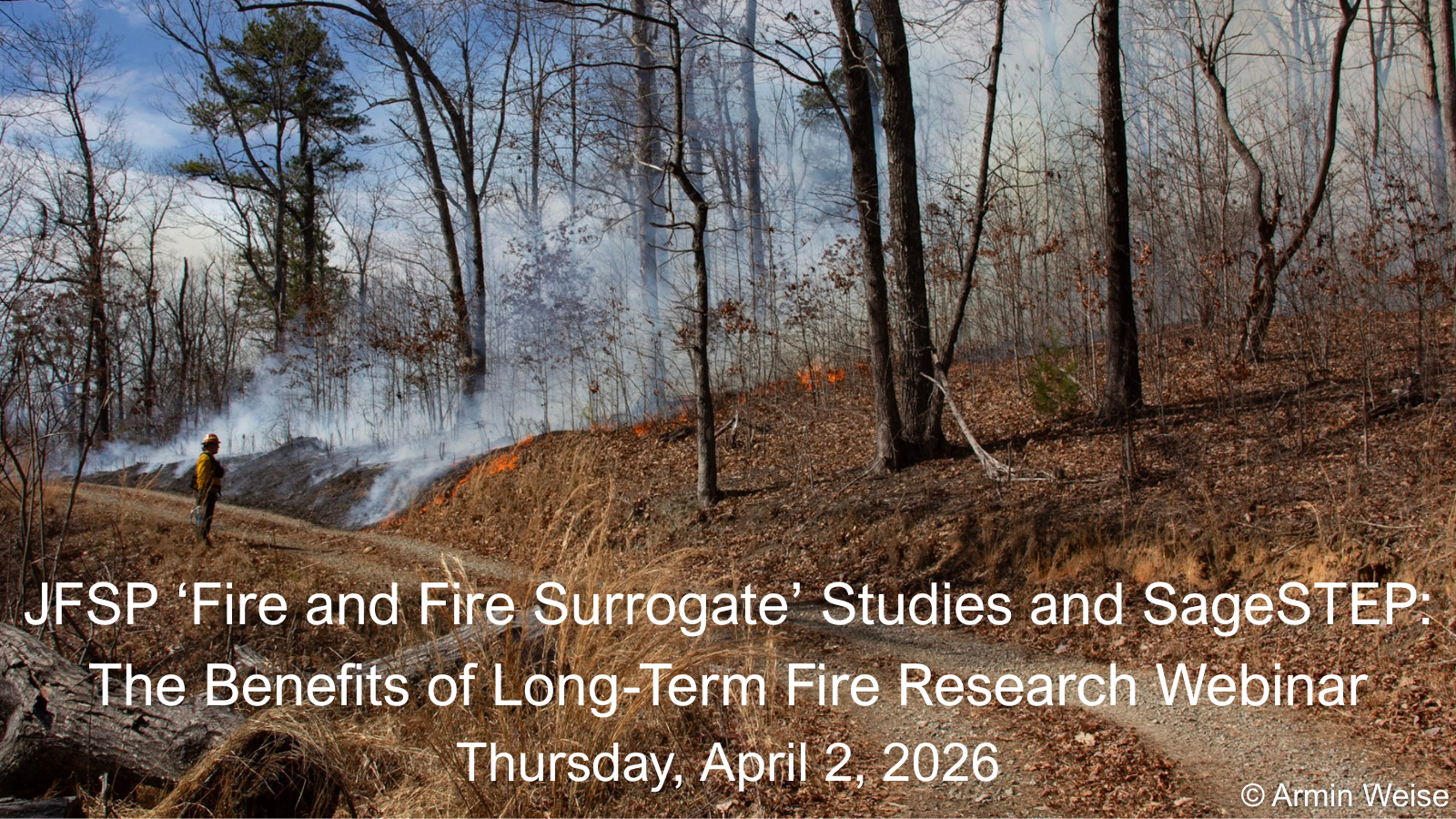 Fire and Fire Surrogate Studies and SageSTEP: The Benefits of Long-Term Fire Research Webinar