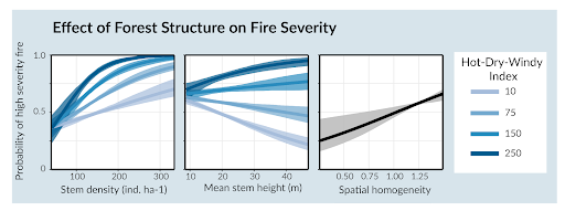 Extreme Weather and Forest Structure Jointly Increase Wildfire Severity in Industrial Forests