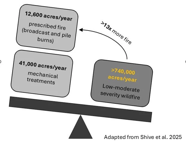 Leveraging Wildfire Footprints to Increase  Forest Resilience to Future High Severity Fire 