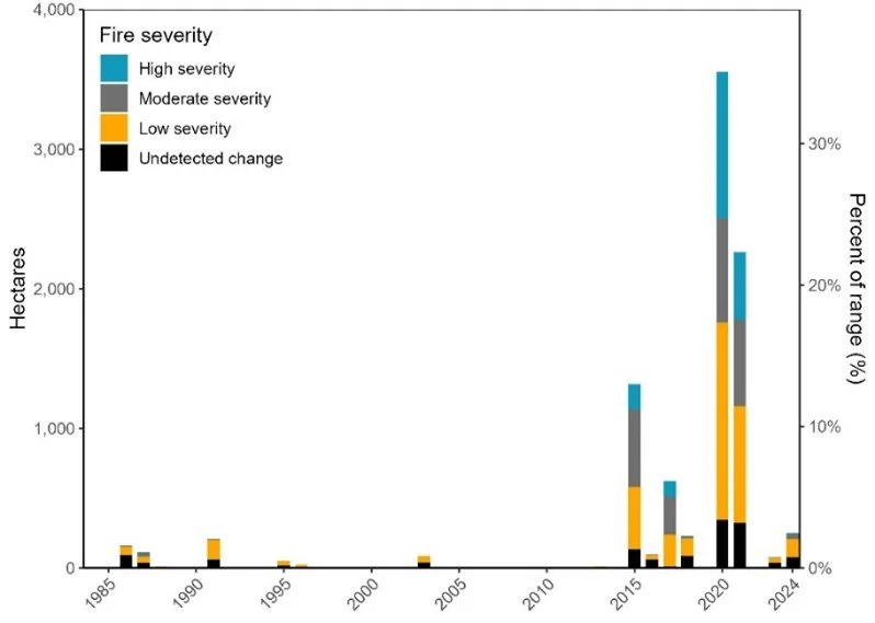 The state of the giant sequoias: losses, risks, and opportunities