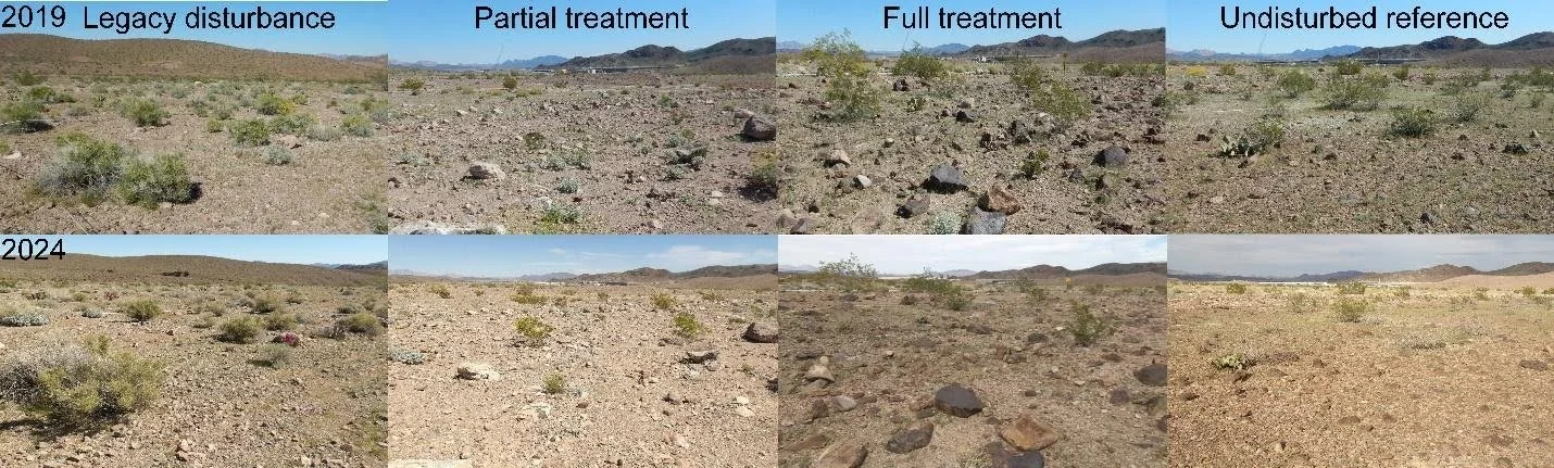 Long-Term Change in Plant Communities and Fuels among Management Interventions on Severe Disturbances in the Mojave Desert