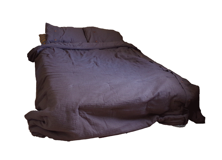 kimsbed2.gif