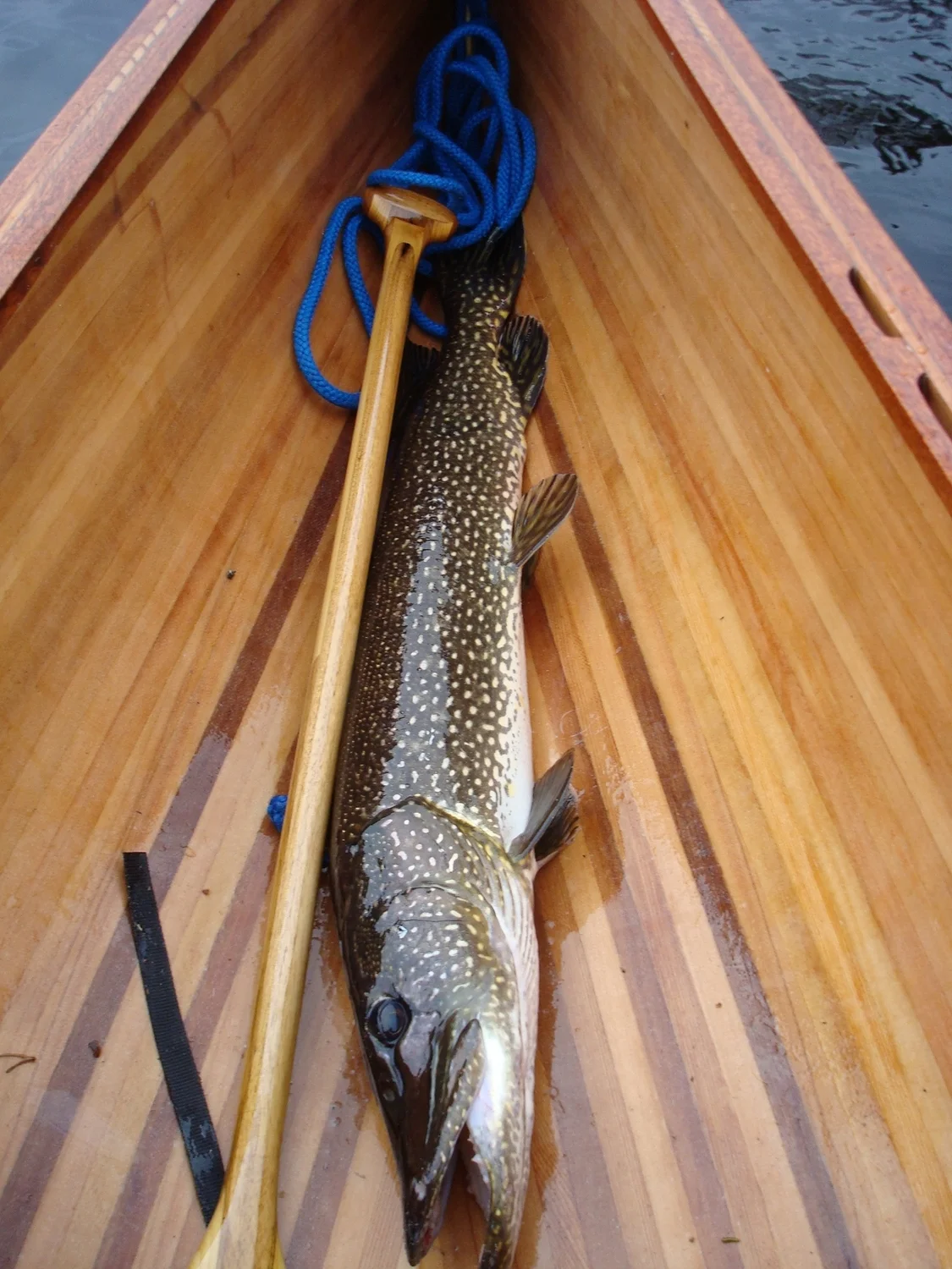 Good fishing boat
