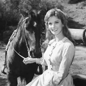 Episode 153 - Insipidiousness