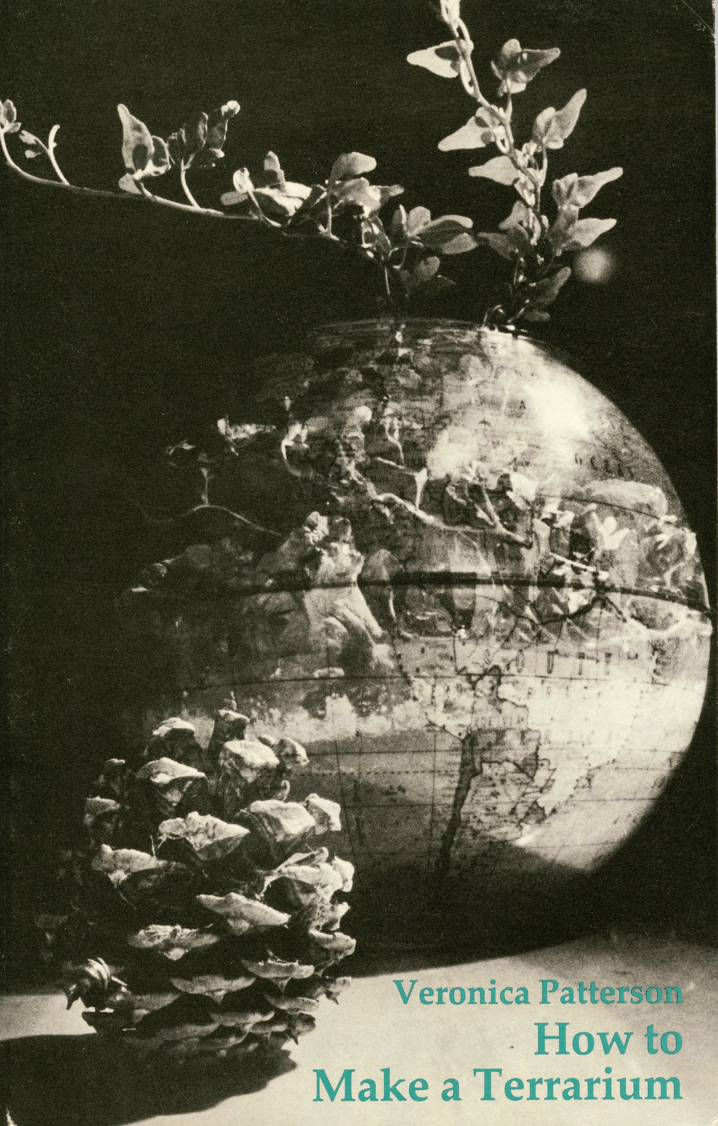 Patterson How to Make a Terrarium .jpg